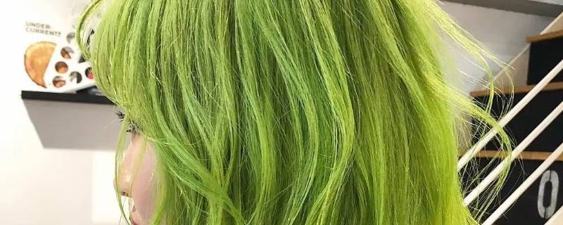 染蜥蜴绿要自带染发膏吗