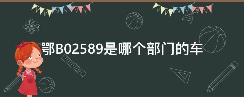鄂B02589是哪个部门的车（鄂B84425是哪个省的车牌号）