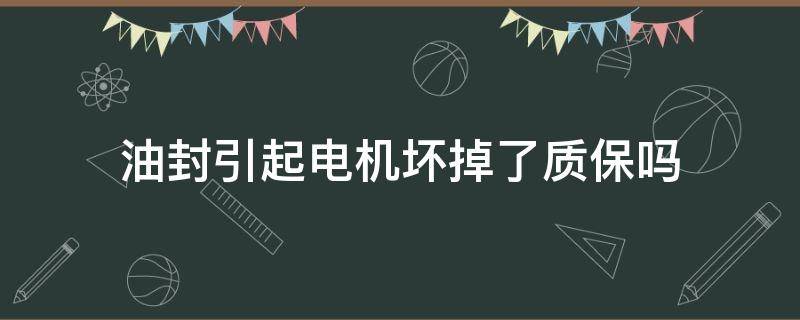油封引起电机坏掉了质保吗 电机油封坏了会有什么影响