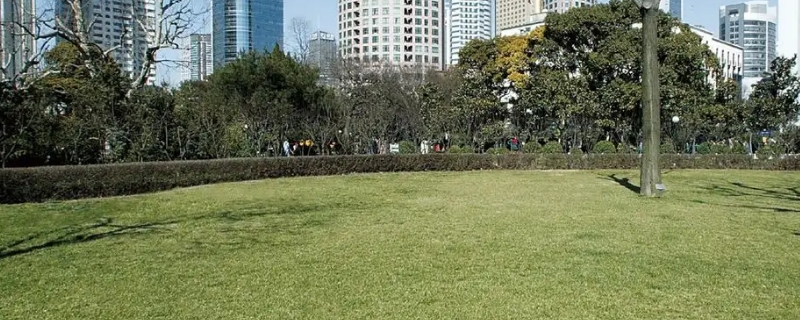 邵阳西苑公园可以钓鱼吗（邵阳周边钓鱼的地方）