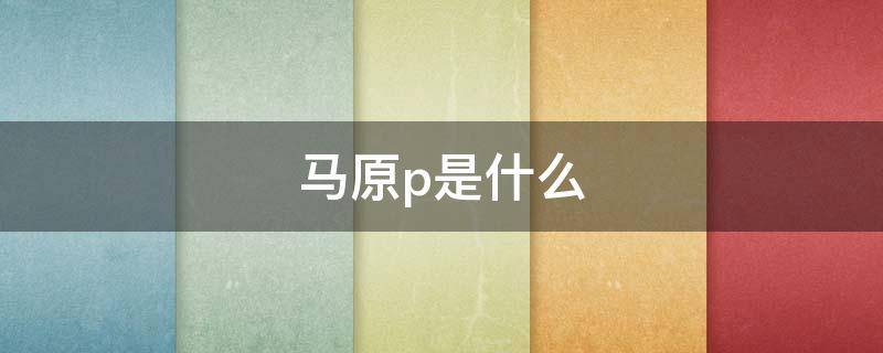 马原p是什么 马原全称是什么