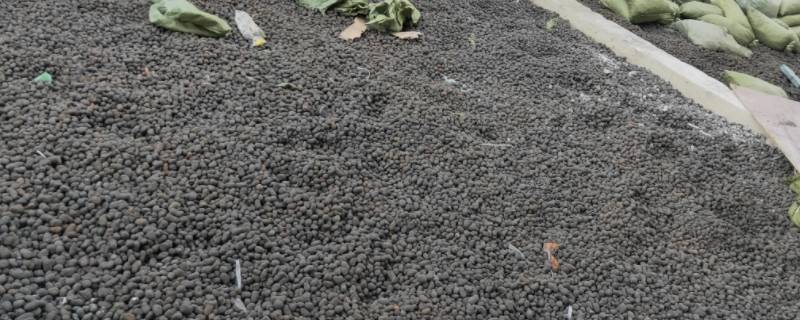 陶粒混凝土施工需要什么资质（陶粒混凝土施工需要什么资质）