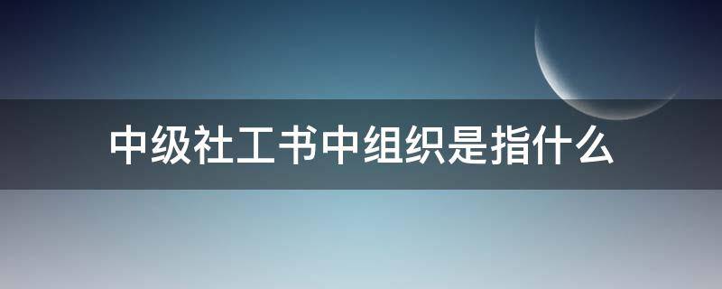 中级社工书中组织是指什么 中级社工书中组织是指什么单位