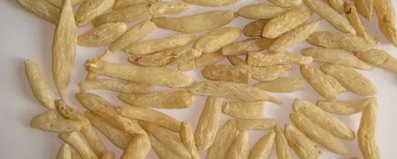 麦冬和黄花菜区别（麦冬和黄花菜区别图片）