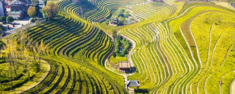 湖南贵州交界到毕节要几个小时到（湖北到贵州毕节多少公里）