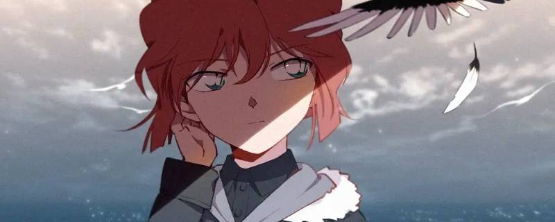 灰原哀放烟花是哪一集（灰原哀在花海里的是哪一集）