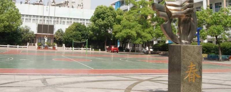 合肥市杏林小学教材版本是哪些（合肥小学语文教材是哪个版本）