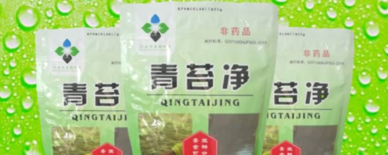 青苔杀净可以杀蓝藻吗（青苔杀净可以杀蓝藻吗图片）
