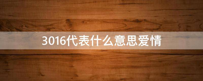 3016代表什么意思爱情 3013的爱情意思是什么
