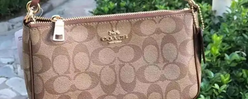 蔻驰浅色老花包搭什么颜色的丝巾 蔻驰印花包浅色还是深色好