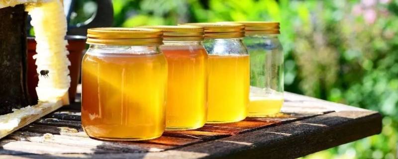 蜂蜜腌制红参为啥生虫子了（蜂蜜腌制红参为啥生虫子了呢）