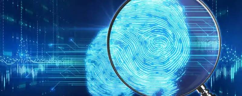 放大镜弄上指纹了怎么办（放大镜下的指纹）