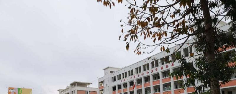 莆田小学可以转学校吗（莆田小学可以转学校吗初中）