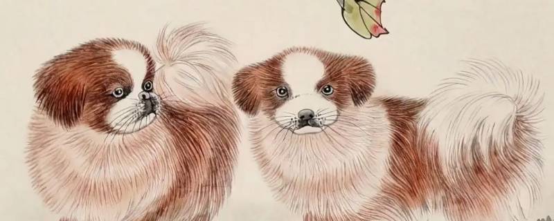 买对手指什么生肖 买对手指什么生肖好