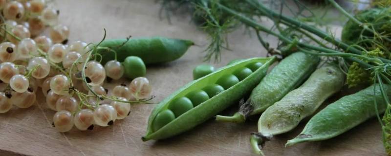 木豌子和豌豆的区别 木豌豆叫什么