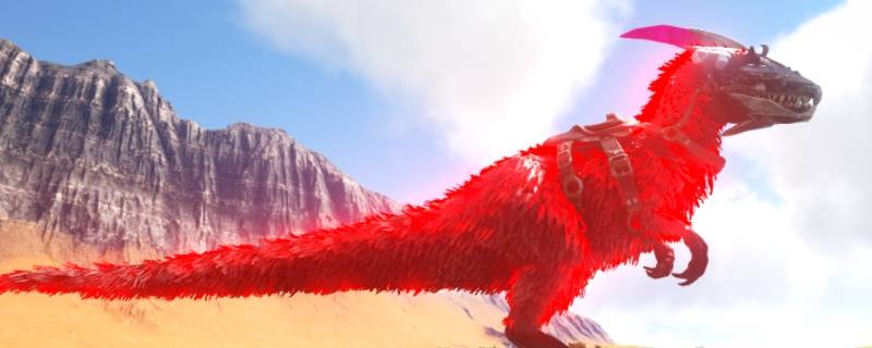 羽暴龙会游泳吗 带羽毛的暴龙