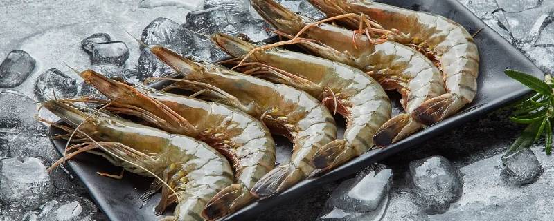 繁殖母虾有营养吗 繁殖母虾有营养吗视频