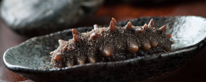 埃及海参为什么便宜（埃及海参好不好）