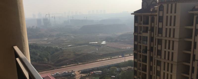 金麒麟世家为什么不被看好 金麒麟和金麒麟