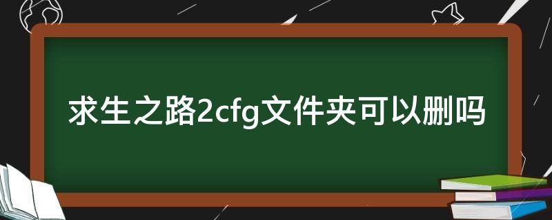 求生之路2cfg文件夹可以删吗