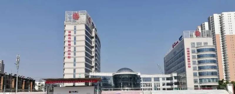 洛阳202小学叫什么 洛阳市202小学的学区