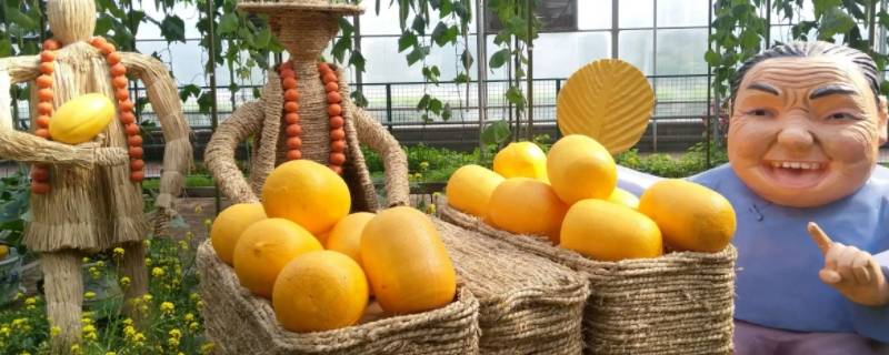 王婆西瓜产地哪里（王婆西瓜产地哪里最好吃）