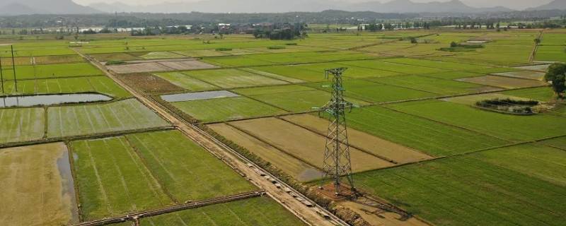 高标准农田业主方是谁 高标准农田土地归谁