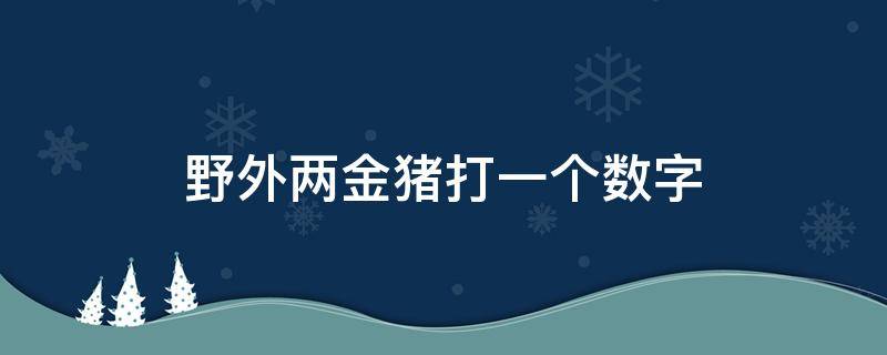 野外两金猪打一个数字