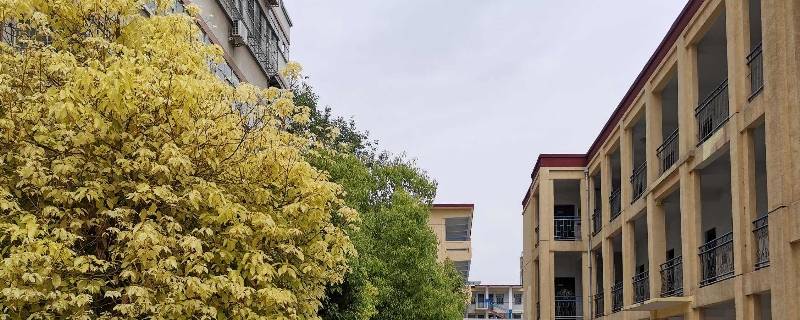 地矿实验学校是地调学校吗 洛阳地矿学校 是地调