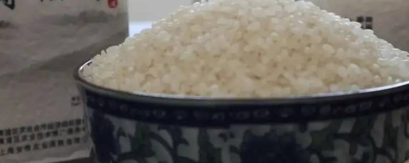 青角牌薄稻香好吗