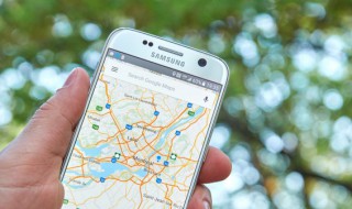 西北地区包括哪些城市（西北地区包括哪些城市和省份）