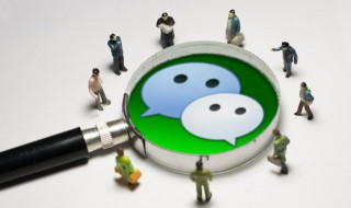 微信如何快速加人（微信如何快速加人不被限制）