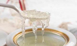 燕窝几倍泡发（燕窝几倍泡发率）