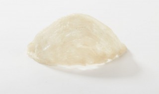 燕窝椰汁的做法大全 燕窝椰汁的做法大全图解