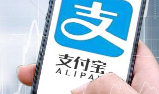 支付宝上怎么交违章罚款（支付宝上怎么交违章罚款电动车）