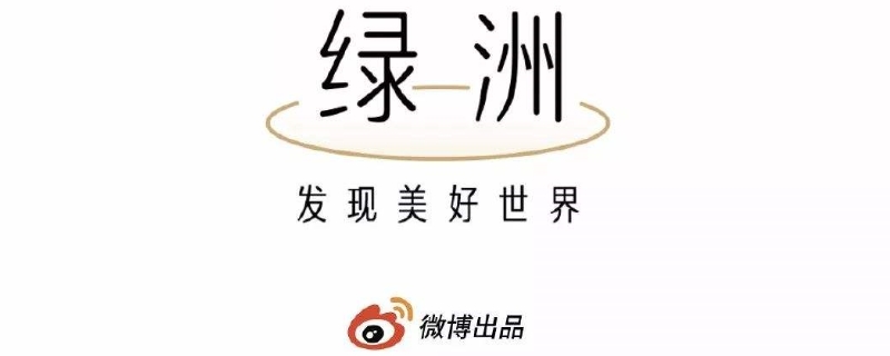 微博绿洲是什么 微博绿洲是什么意思