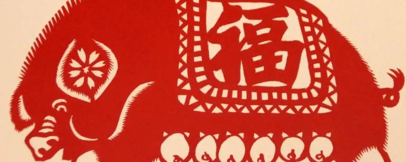 家家户户打一生肖（家家户户打个生肖）