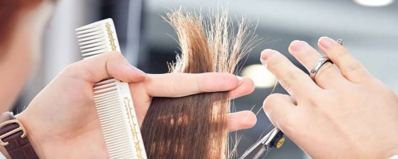 美发培训一般学费多少钱