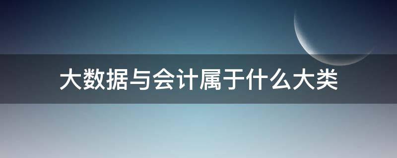 大数据与会计属于什么大类（大数据与会计包括什么）
