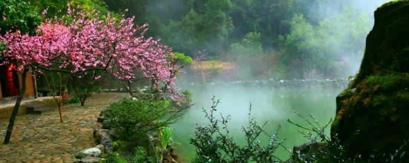 桃花洞是什么意思（桃花洞是什么地方）