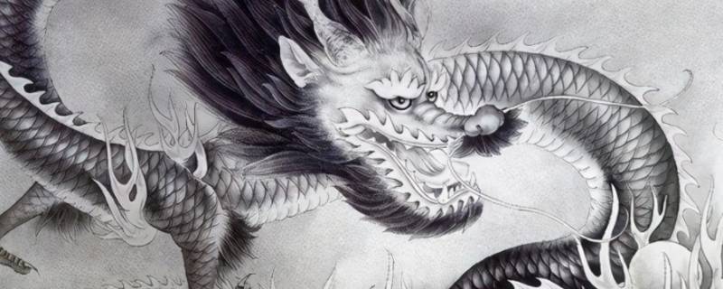 洞庭连天打一生肖 洞庭连天打一动物