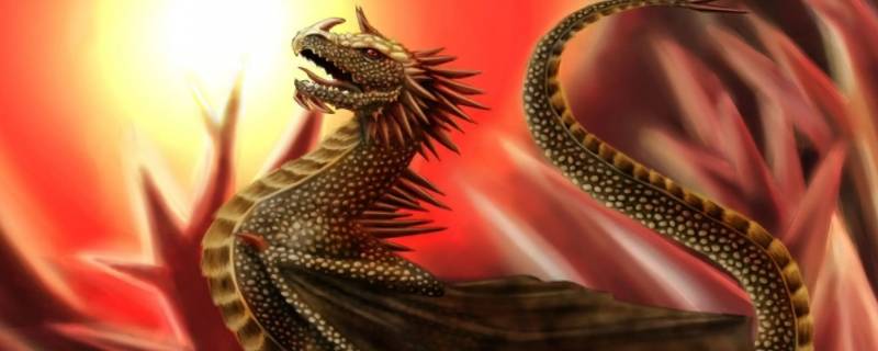 君子一言是九鼎打一生肖 什么生肖一言九鼎