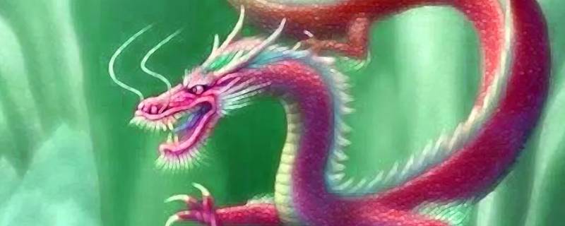 供打一生肖（供打一生肖什么动物）