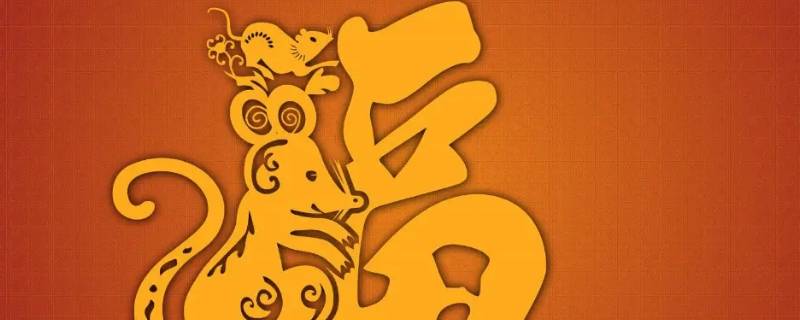 措置有方打一正确生肖 想方设法打一个生肖
