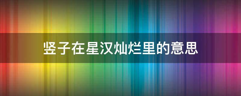 竖子在星汉灿烂里的意思（星汉灿烂的含义）
