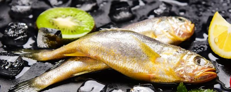黄花鱼多少钱一斤市场价2022（黄花鱼多少钱一斤市场价）