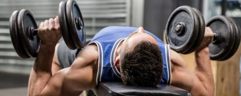 哑铃前平举练哪里 哑铃前平举练哪里肌肉