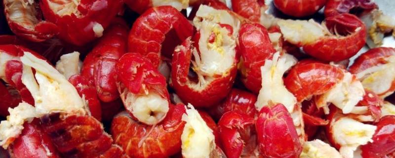 龙虾尾的做法窍门（龙虾尾的家常做法窍门）