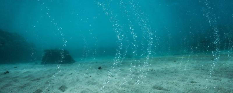 大西洋海底有多恐怖（大西洋海底有多恐怖图片）