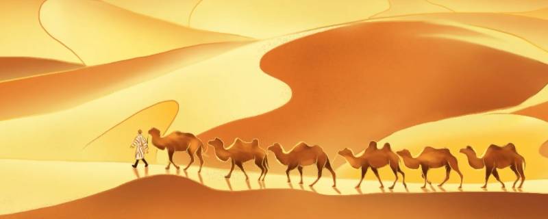 丝绸之路猜一数字（阿拉伯数字丝绸之路）